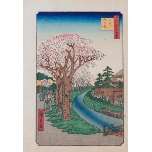Utagawa Hiroshige (1797 - 1858), published by Yoshikawa Kobunkan, Cherry Blossoms, from the series 100 Famous Views of Edo, Tokyo, 1918