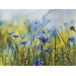 Anna Lenart, Cornflower, 2024