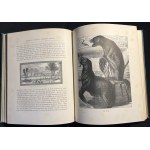 C. L. MATEAUX - Rambles Round London Town [ok. 1890]