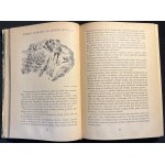 S. LAGERLOF - Podivuhodná cesta, svazky I-II [2. vyd., 1955].