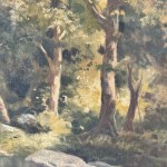 ANONIMO, Landscape