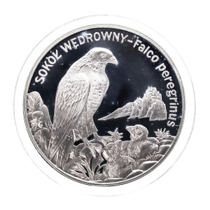 Poland, the Republic since 1989, 20 gold 2008, Peregrine Falcon - Animals of the World