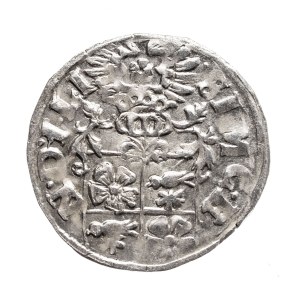 Nemecko, Lippe - Detmold, Simon VI, penny 1613