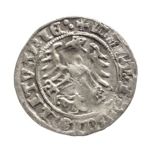 Polsko, Zikmund I. Starý, litevský půlgroš 1515, Vilnius