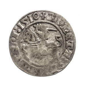 Poland, Sigismund I the Old, Lithuanian half-penny 1510, Vilnius