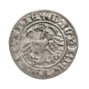 Poland, Sigismund I the Old, Lithuanian half-penny 1510, Vilnius