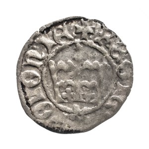 Polsko, Kazimierz IV Jagiellończyk, půlpenny, Krakov.