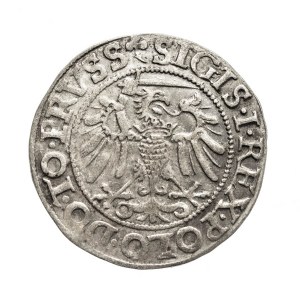 Poland, Sigismund I the Old, grosz, 1540, PRVSS, Elbląg