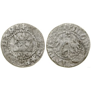 Polonia, Corona da mezzo penny