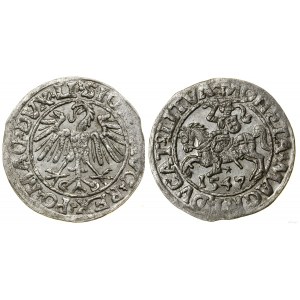 Pologne, demi-penny, 1547, Vilnius