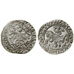 Polska, półgrosz, 1558, Wilno