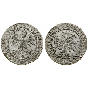 Poland, half-penny, 1560, Vilnius