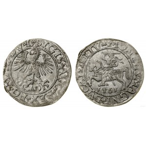 Polonia, mezzo penny, 1561, Vilnius