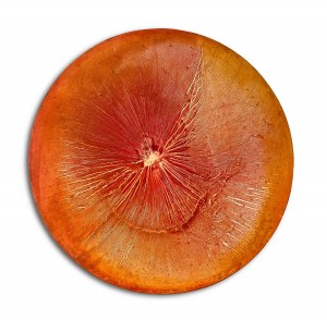 Martyna Łuszczyńska (ur. 1997), Rhythms Orange, 2024