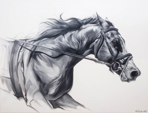Weronika Formejster (ur. 1999), Race Horse, 2024