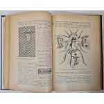 ROHRENSCHEF Stefan - 12 MIESIĘCY W PASIECE Wyd. 1919 Ilustracje