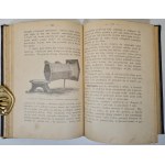 LEWICKI Kazimierz - PSZCZELNICTWO. Zbiór wiadomości o życiu i przyrodzie pszczół Wyd. 1903 Ilustracje