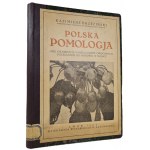 BRZEZIŃSKI Kazimierz - POLSKA POMOLOGJA Wyd. Lviv 1921 Color illustrations