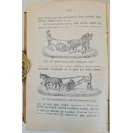 MICZYŃSKI K. - ROLNIK WZOROWY Wyd. Lviv 1913 Illustrations