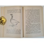 TRYBULSKI M. - DOCHODOWY CHÓW GĘSI I KACZEK Wyd. 1930 Ilustracje