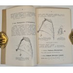 LUBICZ NIEZABITOWSKI Edward - KLUCZ DO OZNACZANIA ZWIERZĄT SSĄCYCH POLSKI Wyd. 1933 Ilustracje