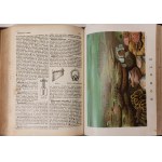 ENCYKLOPEDJA POWSZECHNA z ilustracjami i mapami S. ORGELBRANDA TOM 1-18 [KOMPLET]