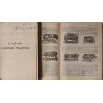 ENCYKLOPEDJA POWSZECHNA z ilustracjami i mapami S. ORGELBRANDA TOM 1-18 [KOMPLET]
