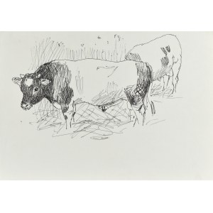 Ludwik MACIĄG (1920-2007), Krowa