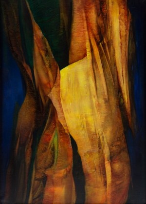 Grzegorz Stec (ur. 1955, Kraków), 