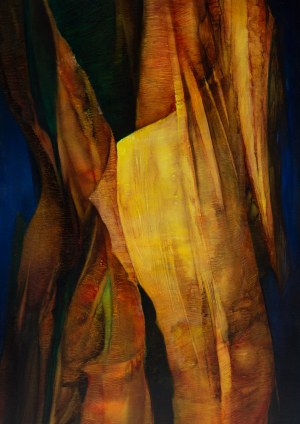 Grzegorz Stec (ur. 1955, Kraków), 