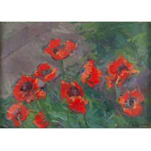 Lucjan Lejman (1891 - 1973), Maky.