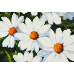 Anna Pleń (b. 1988, Warsaw), Daisies, 2022