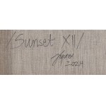 Julia Tycner (ur. 1995, Kościan), Sunset XII, 2024