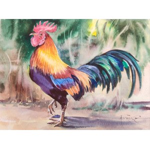 Alexander Franko, Coq 28x35