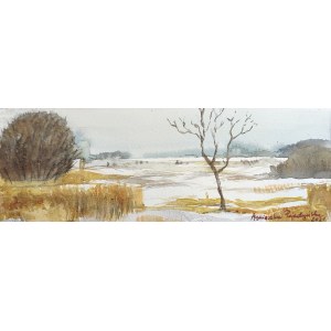Agnieszka Pojedyńska, Paysage 18x38