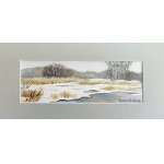 Agnieszka Pojedyńska, Paysage 18x38