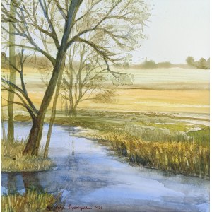 Agnieszka Pojedyńska, Pejzaż 40x40