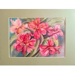 Barbara Młynik-Szilke, Flowers 30x40