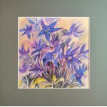 Barbara Młynik-Szilke, Adler 30x30
