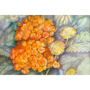 Barbara Młynik-Szilke, Primevères orange 30x40