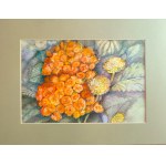 Barbara Młynik-Szilke, Primevères orange 30x40