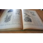 Przegląd Ogrodniczy / rocznik IX / 1926 r. /m.