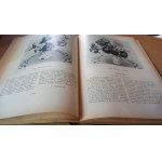 Przegląd Ogrodniczy / rocznik IX / 1926 r. /m.