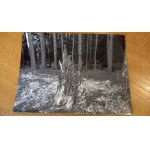 Kazimierz Kawulak - zestaw 6 fotografii /4.