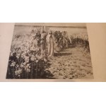 Przez liliowe pola - Piotr Stachiewicz