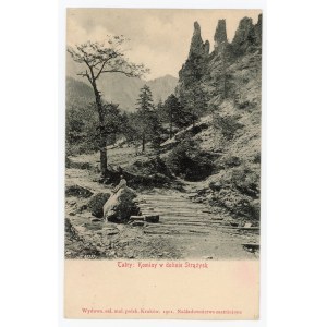 Tatra Mountains - Chimneys in the Strążysk Valley (135)