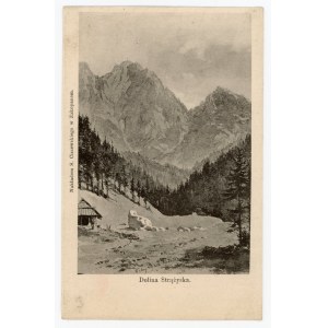 Tatry - Dolina Strążyska (169)