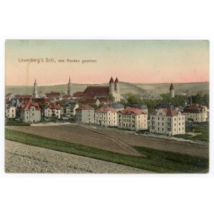 Lvov / Löwenberg - Pohled ze severu (171)