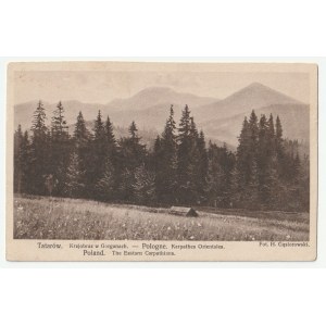 Tatarów. Krajobraz w Gorganach (1002)