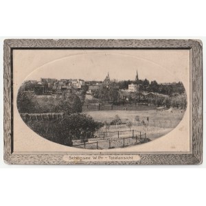 Kowalewo Pomorskie - Schönsee W-Pr.- - view of the city (1020)